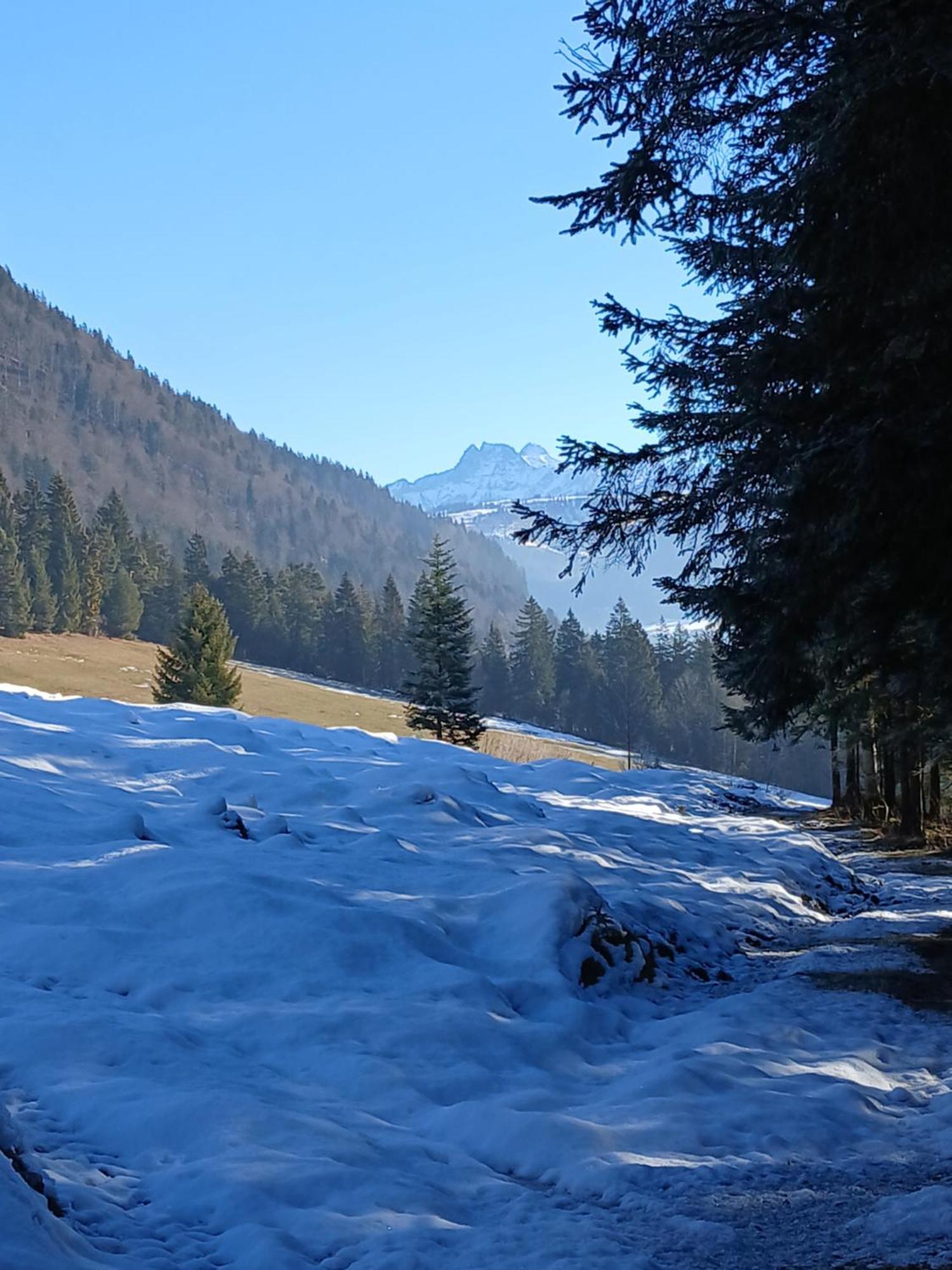 Ferienwohnung Maurerhof Sankt Johann in Tirol Exteriér fotografie