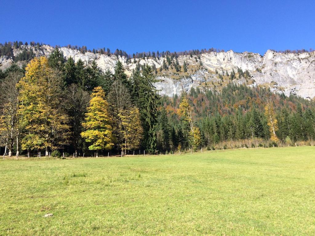 Ferienwohnung Maurerhof Sankt Johann in Tirol Exteriér fotografie